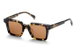 AM EYEWEAR - Tommy - Gents Tort