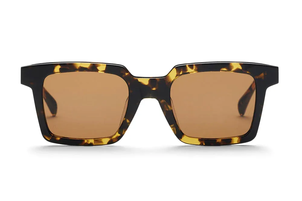 AM EYEWEAR - Tommy - Gents Tort