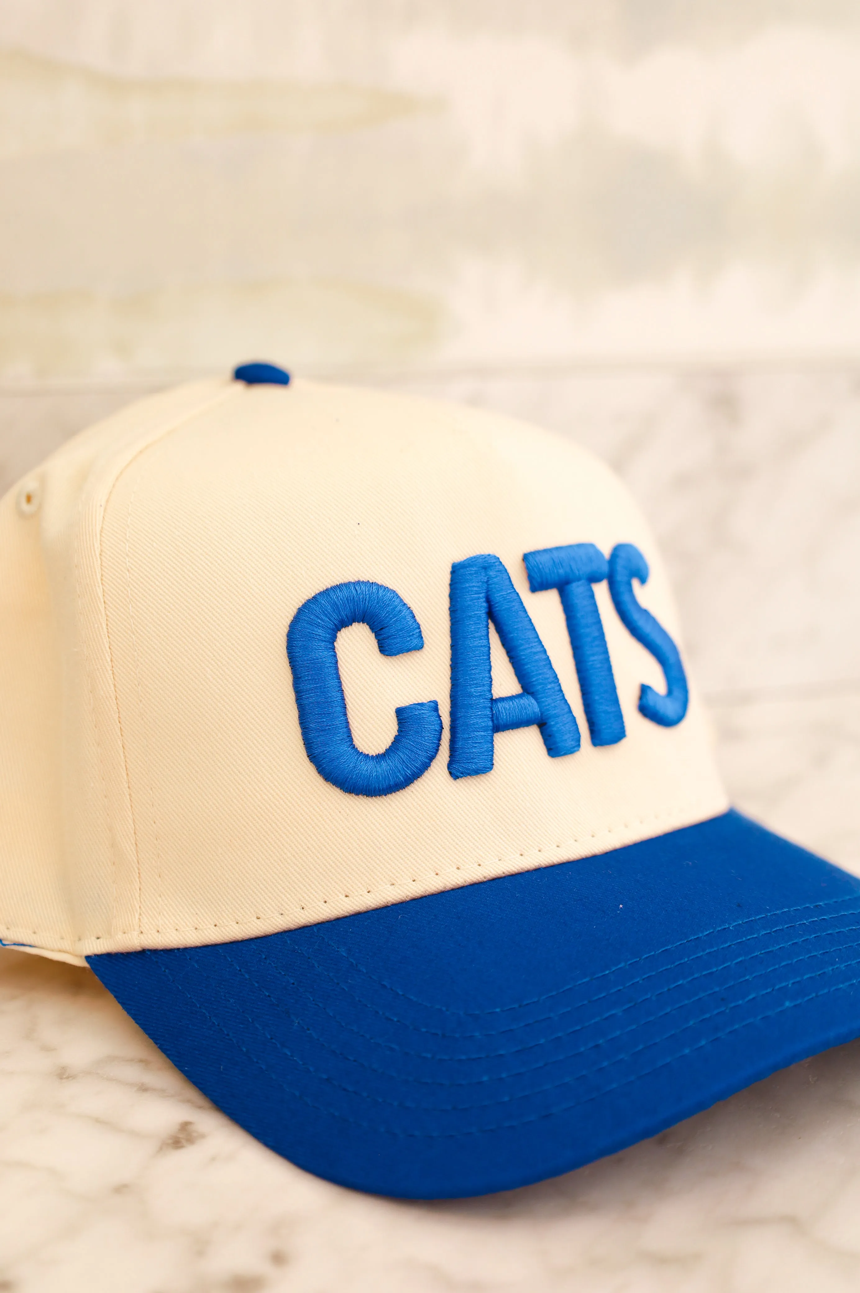 CUSTOM CATS TRUCKER HAT